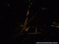 CIMG0410