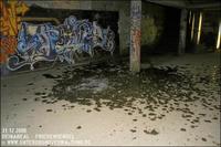 IMG_4545.jpg