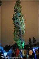 IMG_2740.jpg