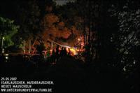 IMG_1330.jpg