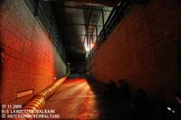 IMG_0173.jpg