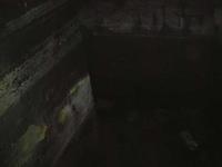 res47172.jpg
